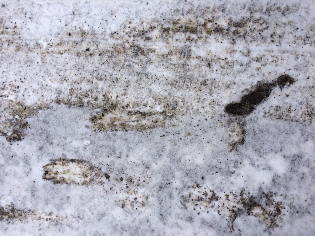 Scratch marks in front of a scat sample found in the middle of the road.
